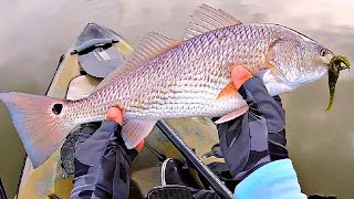 The Best Way To Rig And Retrieve Jerk Shad Lures To Catch Redfish Snook amp Trout [upl. by Moguel]