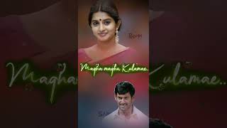 Thavani Pootta🪄 Songs 💞Sandakozhi Movie💥 Vishal💫 Meera Jasmine💯 lovestatus tamilsongs lovesong [upl. by Augustus287]