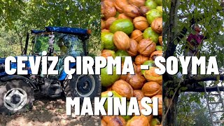 CEVİZ ÇIRPMA MAKİNASI VE CEVİZ SOYMA MAKİNASI [upl. by Einnob123]