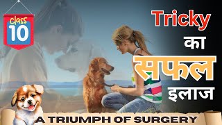 Class 10  Triumph of Surgery  एक सफल इलाज  Short story [upl. by Lenard]