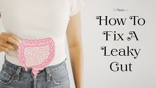 How To Fix A Leaky Gut [upl. by Domonic633]