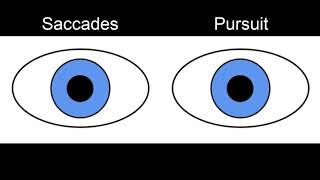 RS Supranuclear Ocular Motor Pathways Part 1  Horizontal Saccades [upl. by Hirza]