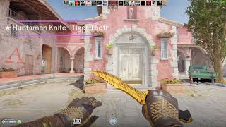 CS2 All Tiger Tooth Knifes Showcase [upl. by Carrnan]