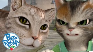 OfficialPeterRabbit  Adventures With Mittens amp Mr Mcgregors Cat 🐈 🐱  Cat Day  Cartoons for Kids [upl. by Sheila]