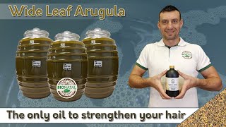 My Hair Oiling Routine How I Oil My Hair For Healthy Long hair [upl. by Liza]