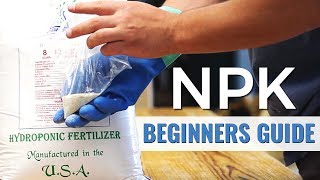 A Beginners Guide NPK in Hydroponics [upl. by Holly]