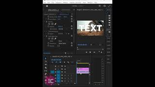 Premiere Pro Text Mask  PREMIERE PRO TUTORIAL  TUTORIAL shorts viralvideo [upl. by Burrow]