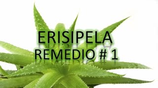 Erisipela  Remedios Caseros Para La Erisipela  Remédio Para Erisipela [upl. by Narod334]