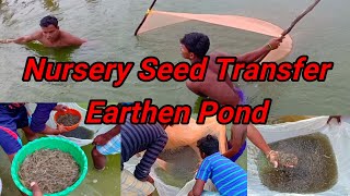 Vannamei Shrimp Seed Transfer from Earthen Pond [upl. by Hsirrehc]