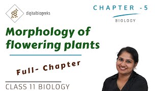 Morphology of Flowering Plants  Class 11 Biology [upl. by Curtice270]