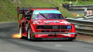 Best of Audi Quattro S1 Group B Rally amp Hillclimb Monsters  Pure sound [upl. by Stuart]