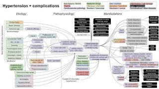 Hypertension and complications mechanism of disease [upl. by Bez209]