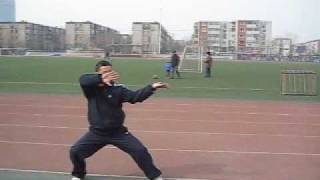 Li style Taiji Quan  Master Zhou jingxuan [upl. by Herzen]