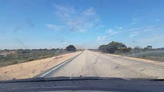 Driving through a Locust swarm on the Nullarbor 2018 Western Australia [upl. by Blockus726]