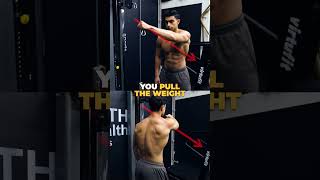 The 3 BEST Exercises For Your Rear Delts [upl. by Irb]