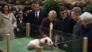 Frances Brigitte Macron reveals baby pandas name Yuan Meng [upl. by Micah191]