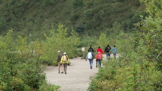 Mendenhall Glacier amp Gardens  Shore Excursion  NCL [upl. by Enilarac]