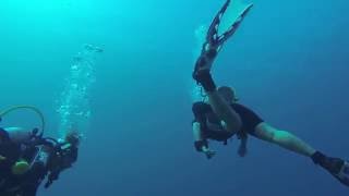 Frogatta Reef amp Wreck Bayahibe Dominican Republic [upl. by Dnaloy]