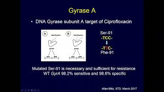 Addressing Untreatable Gonorrhea ResistanceGuided Therapy [upl. by Ilrebmyk]