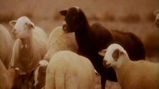 The KLF  What Time Is Love The video for the 1988 Pure Trance Original Classic [upl. by Ahsieket]