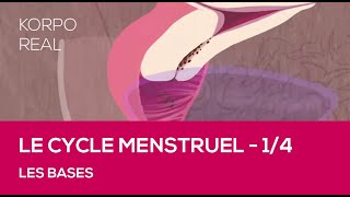 Le cycle menstruel  Les bases [upl. by Gnik808]