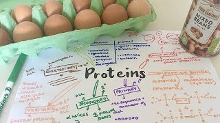 3141 Proteins Revision  AQA ALevel Biology [upl. by Cynth182]