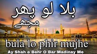 Bula lo Phir Mjha Ay Shah  Naat  Muhammad Farzan Raza [upl. by Lebam107]