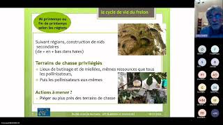 Webinaire sur le piégeage du frelon asiatique  UNAF avec Gilles LANIO 21022024 [upl. by Lehcsreh70]