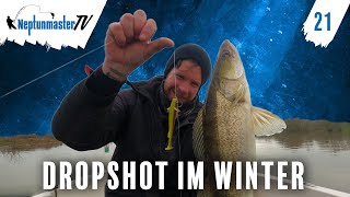 Dropshot Angeln im Winter  So angelt Jan mit dem Dropshot Rig auf Zander 21 [upl. by Brande]