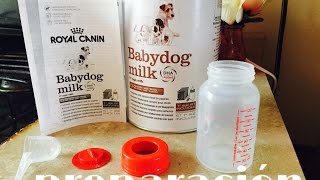 Como preparar babydog milk de royal canin [upl. by Joela563]