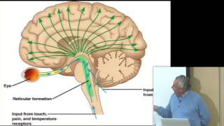 Consciousness amp Physiology I [upl. by Nitsuga]