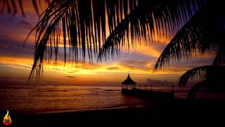 1 Hour Chill Out Reggae Island Music  Infest  Alific [upl. by Mcnamee521]