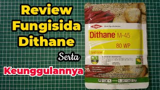 Review Fungisida Dithane M45 80 WP [upl. by Dorsy455]