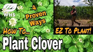 Best Way to Plant Clover [upl. by Caniff]