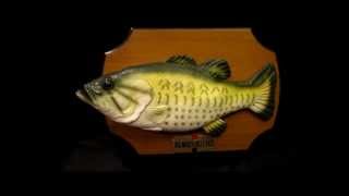 Gemmy Billy Bass Animatronic Fish Singing quotDont Worry be happywmv [upl. by Anatole]