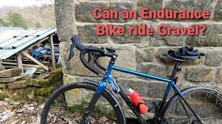 Can an Endurance Bike ride Gravel  Genesis Equilibrium Disc Review [upl. by Eniagrom868]