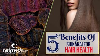 5 Ways To Improve Hair Health Using Shikakai  DIY Shikakai Hair Mask [upl. by Bej]