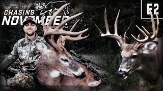 Indiana Stud On Public Hunting Land Hunting A Giant Missouri Buck With A Bow hunting deerhunting [upl. by Verene780]