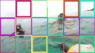 Preview Summer Snorkeling In Bayahibe [upl. by Adihsar152]