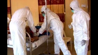 How underfunding lack of preparedness impact surge in Lassa fever [upl. by Elmaleh]