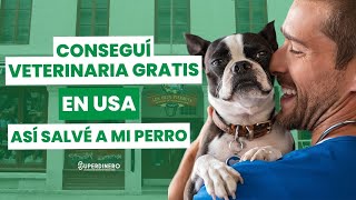 🐶 mejores VETERINARIAS en USA 🇺🇸 GRATUITAS y de bajo COSTO 🐱 [upl. by Fergus]