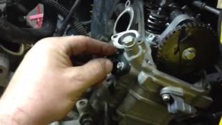 Canam timing chain tensioner adjustment [upl. by Asehr]