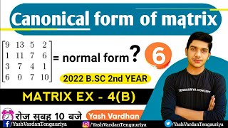 6  NORMAL amp CANONICAL FORM OF MATRIX  Maths BSc 2nd year in hindi Lec  5 by  yash vardhan [upl. by Yance413]