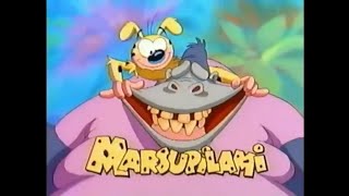 Disneys Marsupilami Intro [upl. by Akired]