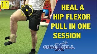 Fix a Hip Flexor Pull in One Session  The Miracle Exercise  Ep11 [upl. by Anson]