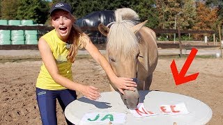 BEN IK EEN GOED BAASJE  Paard beantwoordt vragen 01 [upl. by Dinnage]