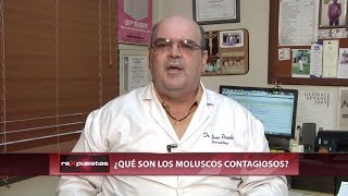 ▶️ ¿Qué son los moluscos contagiosos [upl. by Eniladam]