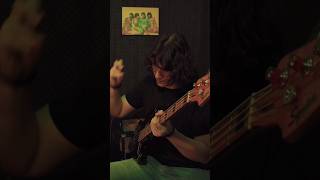 Altin Gün  Goca Dünya bass cover [upl. by Joel141]