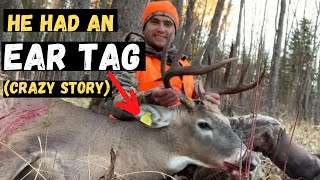 HUGE 10 POINT BUCK DOWN PUBLIC LAND Deer Hunting in Manitoba [upl. by Biernat251]