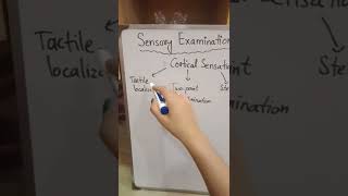 Sensory ExaminationSensory System ExaminationExamination Of Sensory Nervous system [upl. by Cyn]